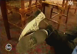 http://img199.imageshack.us/img199/6844/ligotage.gif