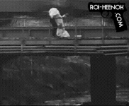 http://www.roi-heenok.com/html/images/gifs/basdupont.gif